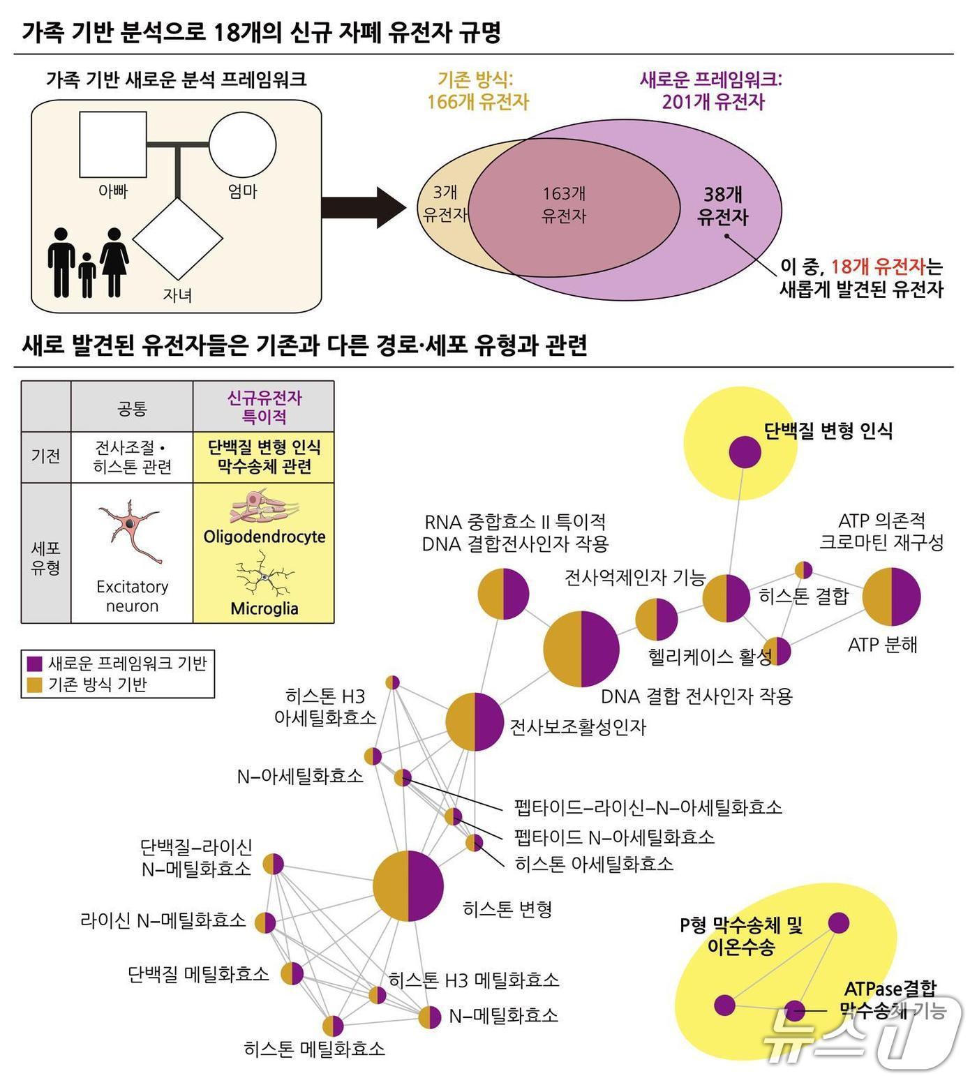 안준용 고려대 바이오시스템의과학부 교수 연구팀은 자폐인의 특성을 정밀하게 분석할 수 있는 새로운 프레임워크를 개발했다고 24일 밝혔다.(고려대 제공)