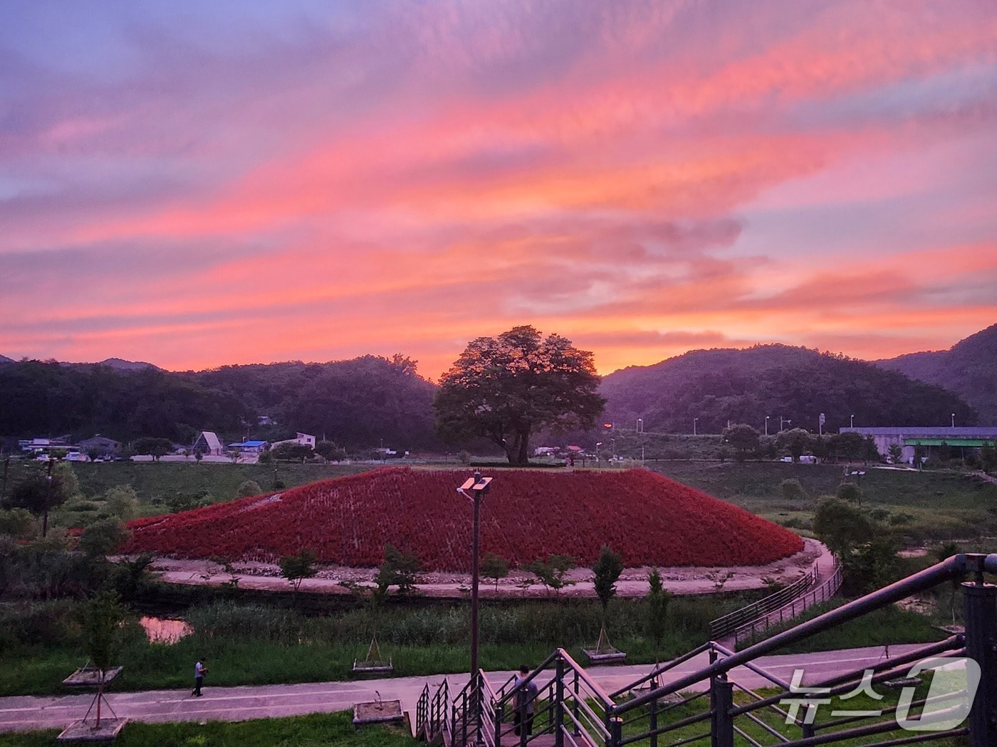 강원 영월군 청령포원 자료 사진. &#40;영월군 제공. 재판매 및 DB금지&#41; 2025.9.24/뉴스1