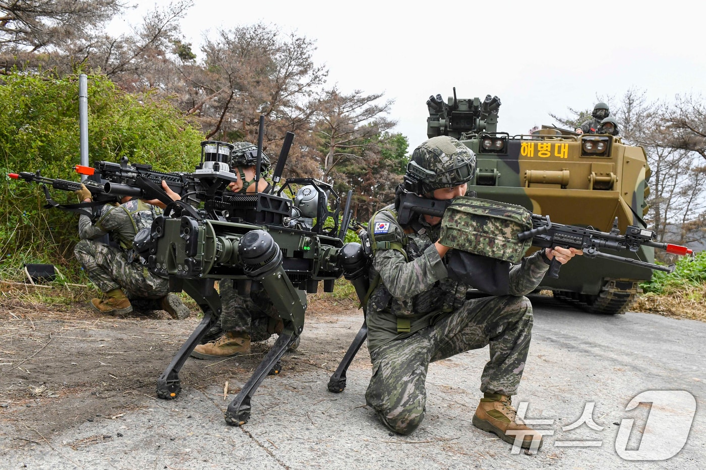 24일 해병대 전투실험대대가 경북 포항 정천리 훈련장에서 다족 보행로봇을 활용한 위험지역 작전 간 정찰임무를 수행하고 있다. (해병대사단제공, 재판매 및 DB금지) 2025.9.24/뉴스1 ⓒ News1 최창호 기자