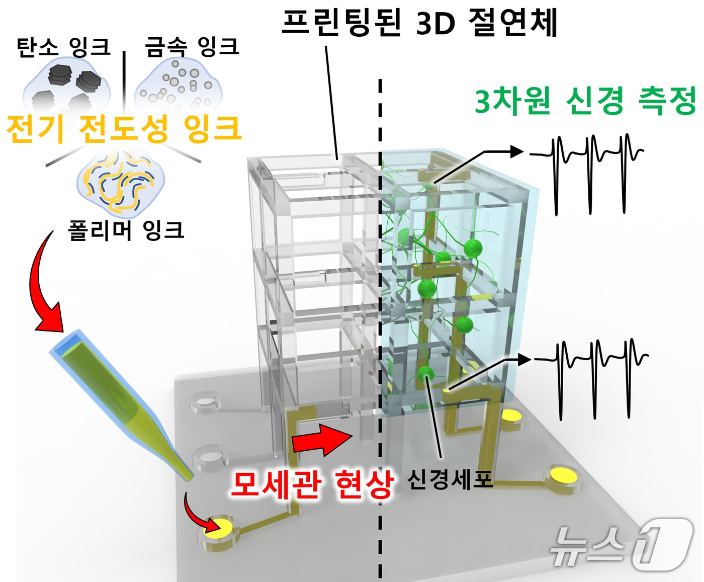 맞춤형 세포배양 지지체-미세전극칩 일체형 플랫폼 개요도(KAIST 제공) /뉴스1