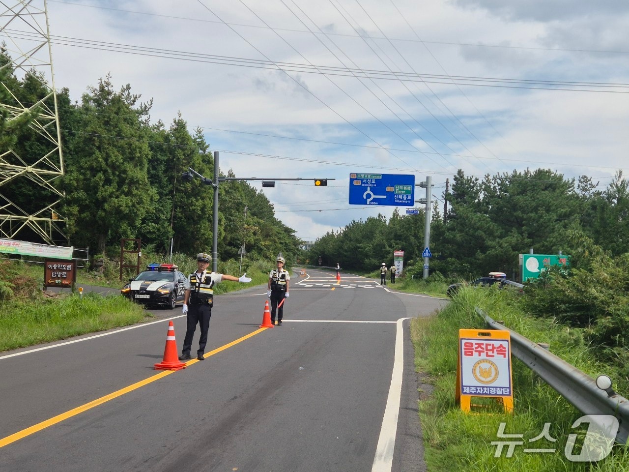 제주자치경찰단 서귀포지역경찰대가 음주운전 특별단속을 하는 모습.(서귀포지역경찰대 제공. 재판매 및 DB 금지)
