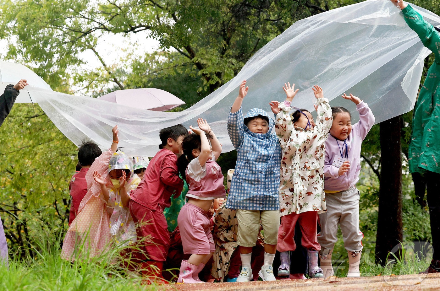 비가 내린 25일 광주 북구 문흥동 문화근린공원 유아숲체험원에서 열린 숲체험 프로그램에 참가한 매곡어린이집 아이들이 숲해설사와 비닐에 떨어지는 빗소리를 들으며 자연을 느끼고 있다.(광주 북구 제공. 재판매 및 DB 금지) 2025.9.25/뉴스1 ⓒ News1