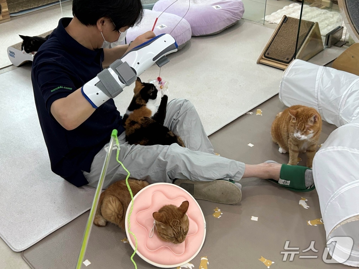 동물보호소 찾은 네츄럴코어, 화장실 청소 등 봉사...사료도 기부 - 뉴스 썸네일 이미지