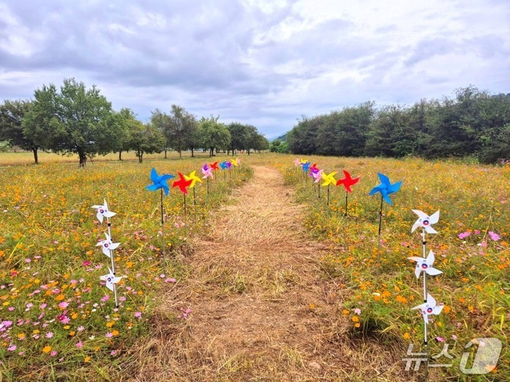 여주 대신섬 바람개비(여주시 제공. 재판매 및 DB 금지)/뉴스1