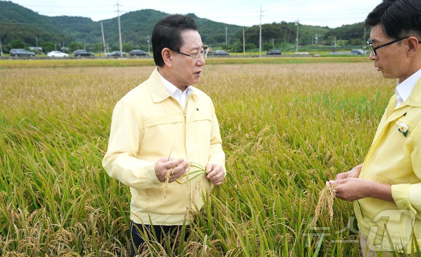 김영록 전라남도지사가 26일 오후 벼 깨씨무늬병 피해 현장인 보성군 미력면 반룡리 일원을 방문해 주요 농작물 피해현황 청취 및 피해현장을 둘러보고 있다.(전남도 제공. 재판매 및 DB금지) 2025.9.26/뉴스1