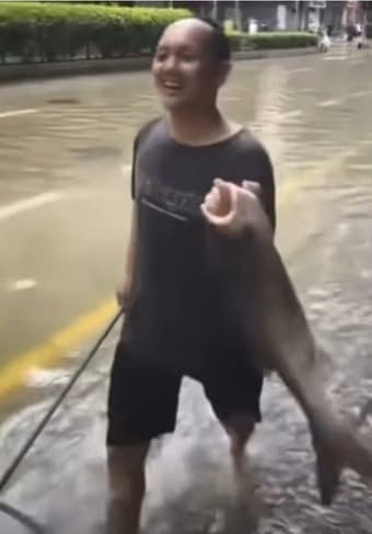 도심에서 물고기 잡는 마카오 시민(유튜브 계정JillGarnett)