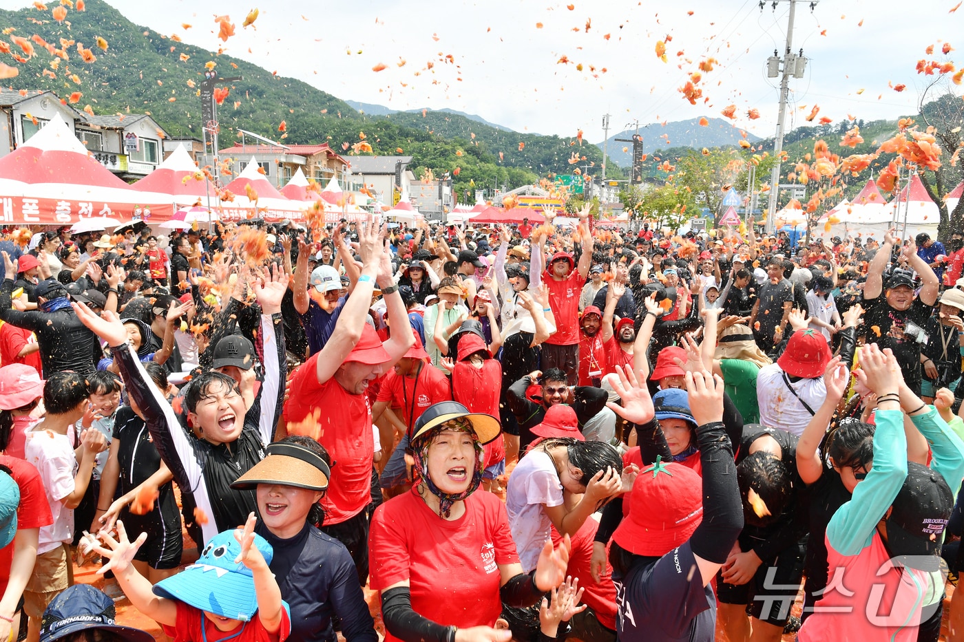 2025 화천토마토축제.(화천군 제공, 재판매 및 DB금지)