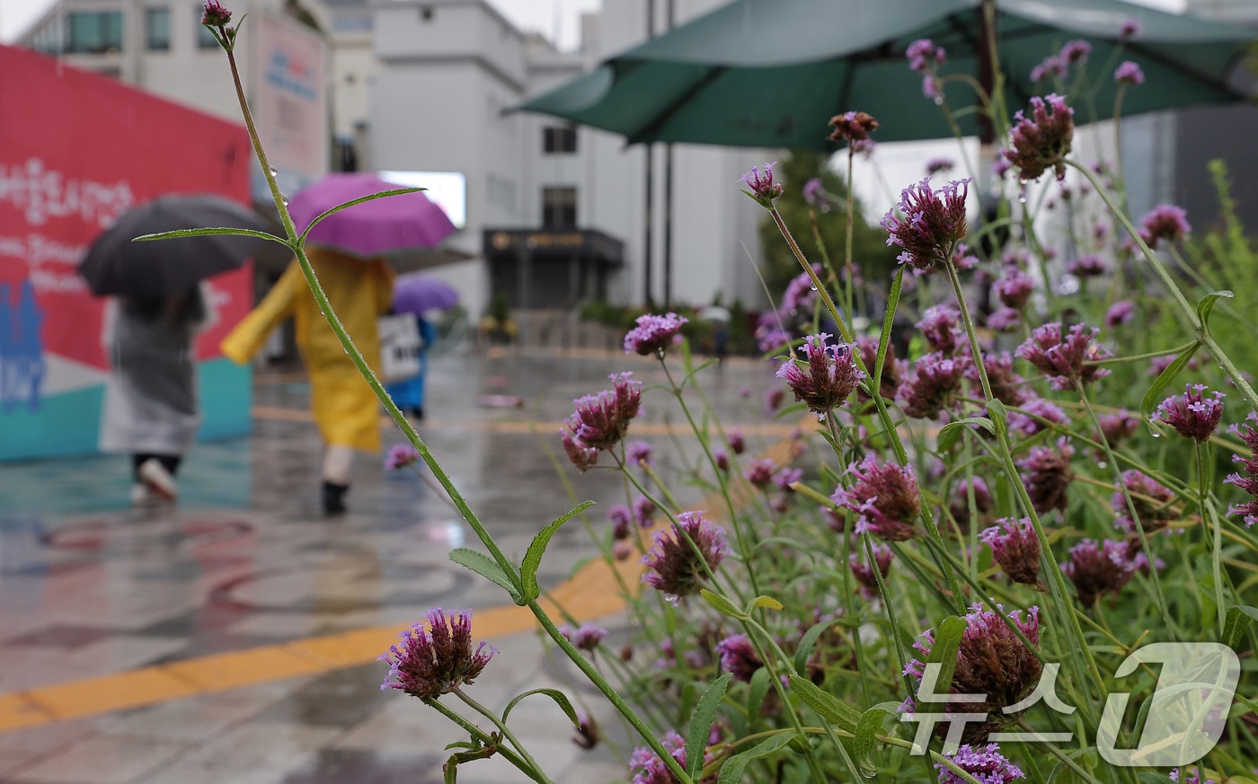 가을비.(뉴스1 DB) ⓒ News1 김성진 기자