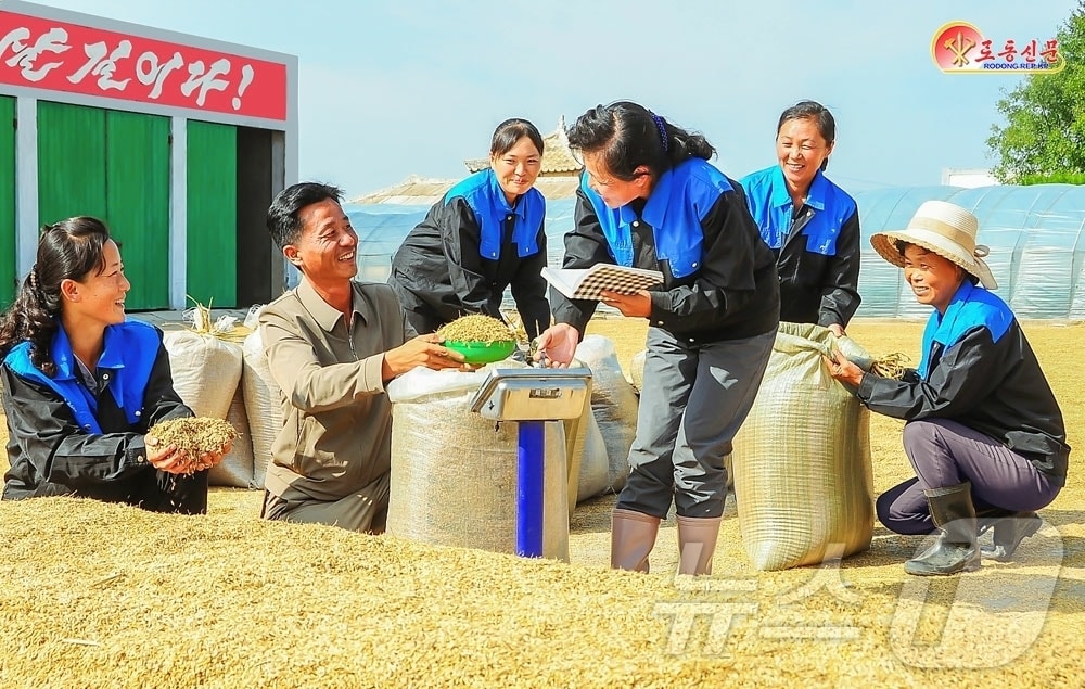 (평양 노동신문=뉴스1) = 북한 노동당 기관지 노동신문은 29일 문덕군 일꾼(간부)들과 농업근로자들의 벼가을계획이 넘쳐 수행되고 있다고 보도했다. [국내에서만 사용가능. 재배포 금지. DB 금지. For Use Only in the Republic of Korea. Redistribution Prohibited] rodongphoto@news1.kr