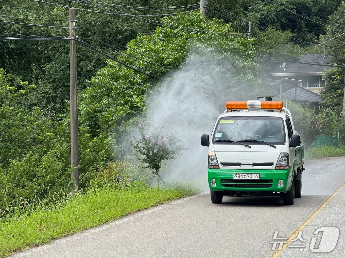 특별 방역에 나선 춘천시.&#40;춘천시 제공, 재판매 및 DB금지&#41;