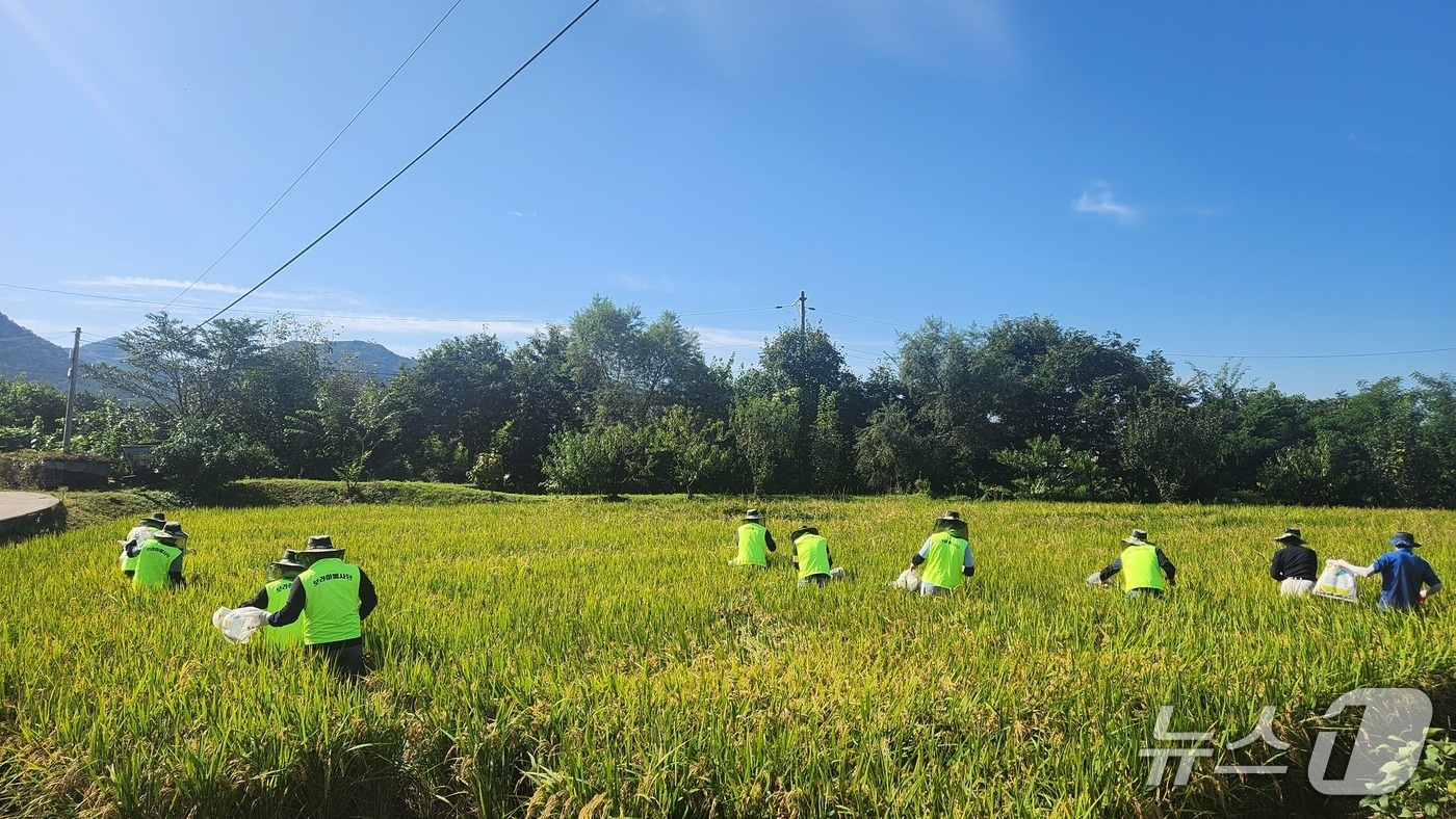 농가 일손 돕기.(농협 강원본부 제공. 재판매 및 DB금지)/뉴스1