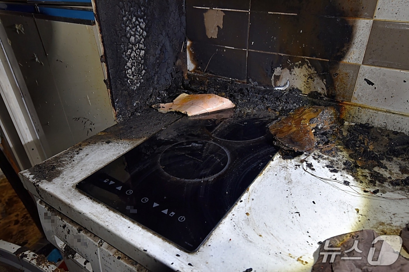 2025년 1월 서구 관저동의 한 주택에서 반려동물에 의한 화재가 발생한 현장사진. (대전시 제공. 재판매 및 DB금지)2025.9.3/뉴스1