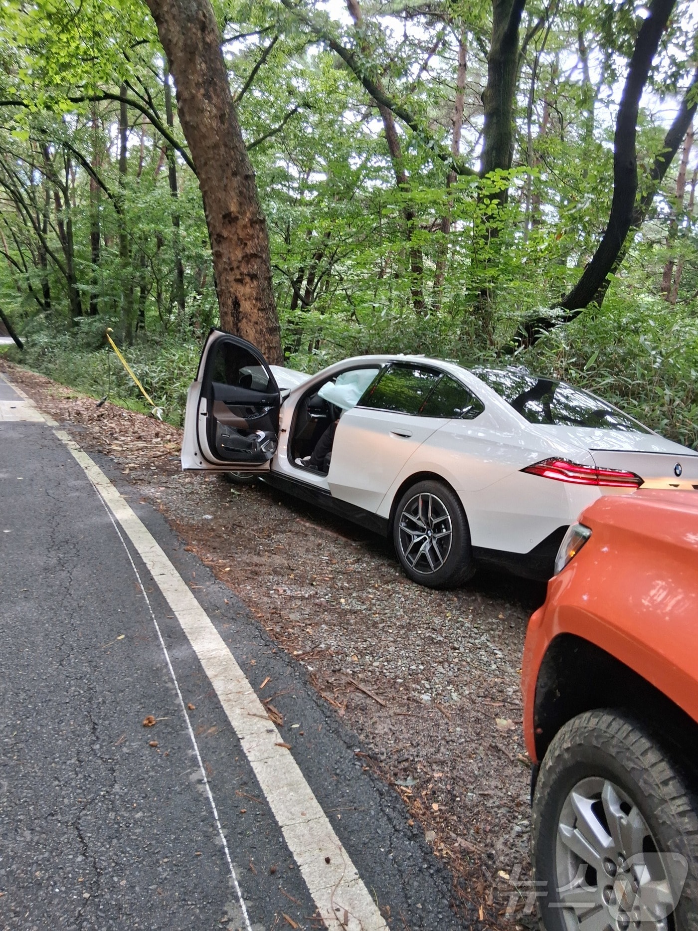 3일 오후 1시 6분쯤 광주 무등산 인근 도로에서 음주 운전 차량이 가로수를 들이받고 멈춰서 있다.(광주 북부소방서 제공. 재판매 및 DB 금지)
