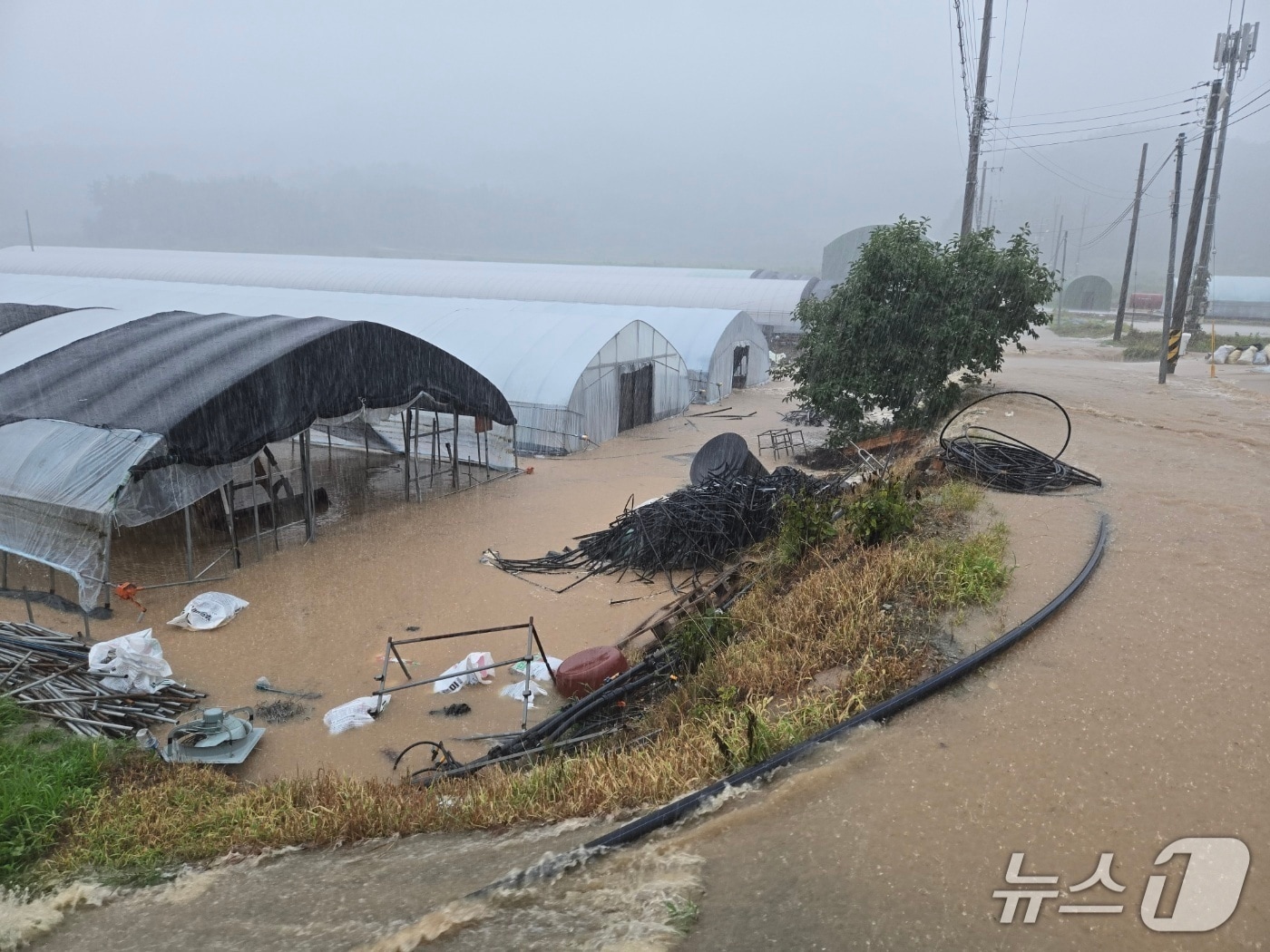진주시 수곡면 비닐하우스 단지가 지난 7월 19일 집중호우에 침수됐다. 2025.7.19/뉴스1 한송학기자