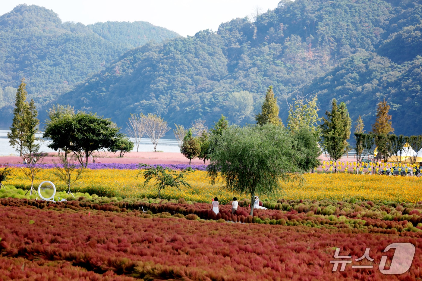 의령군 기강 리치꽃축제 행사장(의령군 제공. 재판매 및 DB금지).