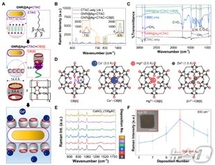 세슘 이온 선택적 검출 원리 및 성능 개요도(금오공대 제공. 재판매 및 DB금지)/뉴스1