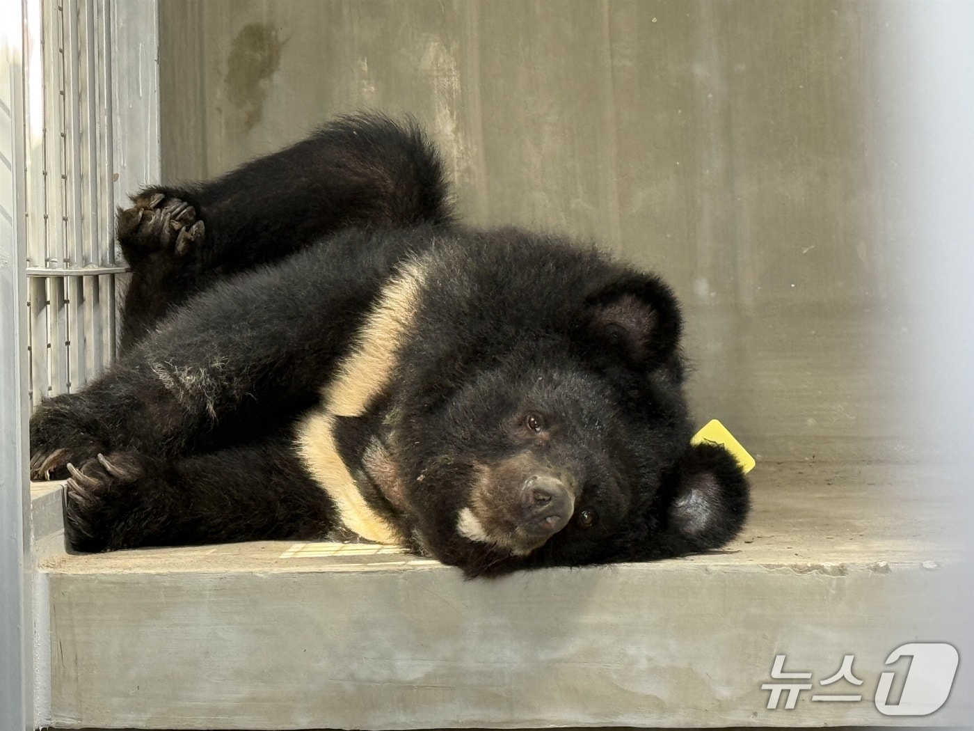 (환경부 제공) ⓒ 뉴스1