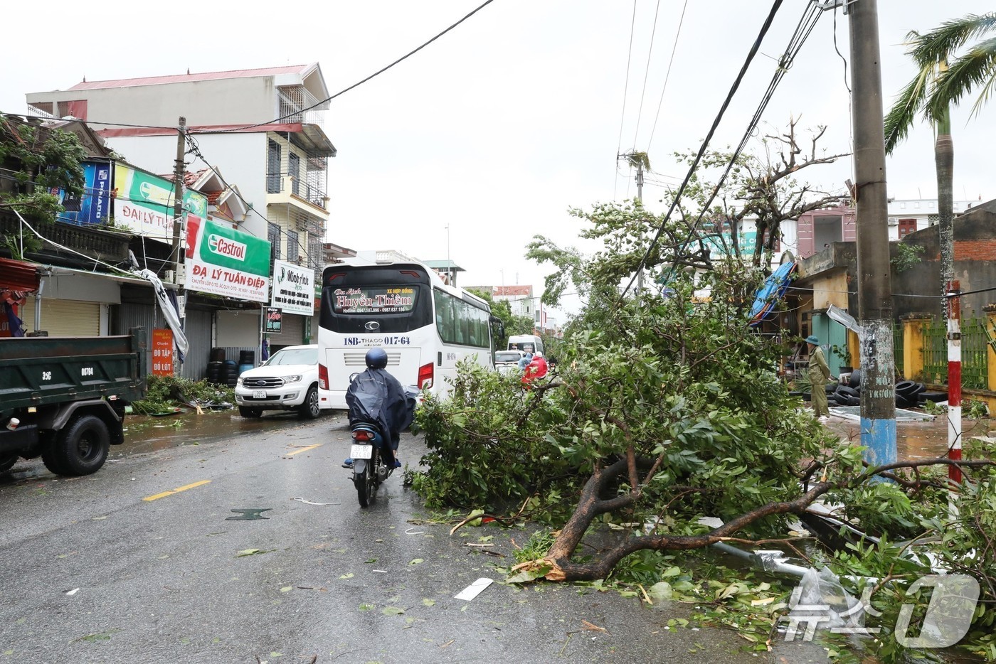 29일&#40;현지시간&#41; 제20호 태풍 &#39;부알로이&#39;가 베트남을 강타해 가로수가 부러진 모습. &#40;출처=엑스&#41; 2025.9.29./뉴스1