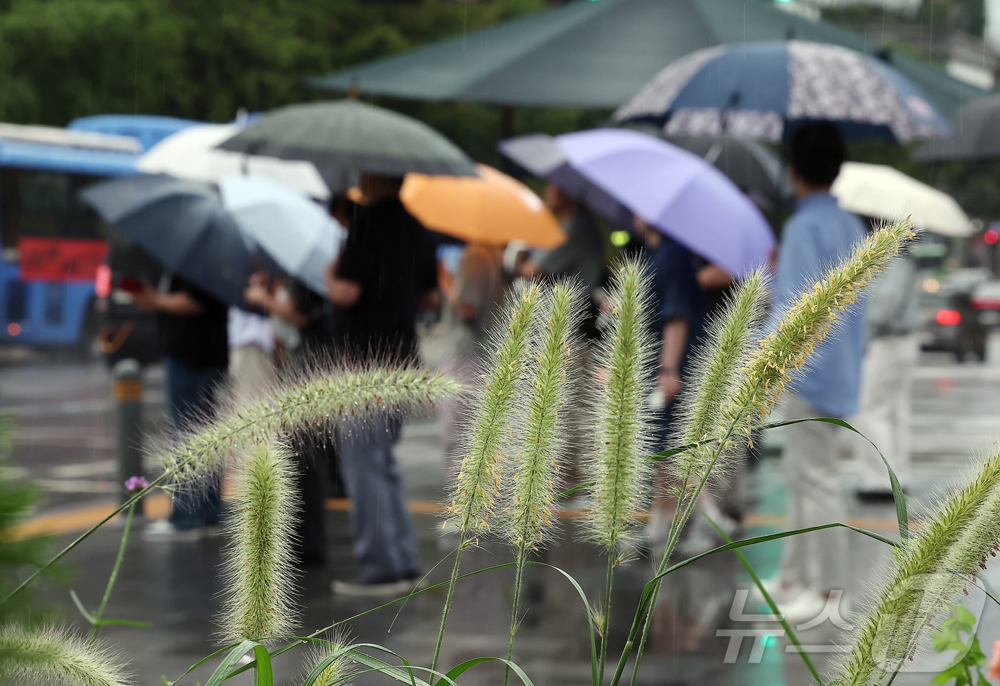 우산을 쓴 시민들이 지나고 있다. /뉴스1 ⓒ News1 김진환 기자
