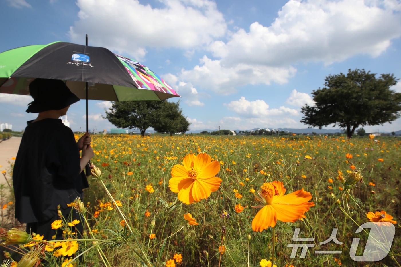 날씨 자료사진. /뉴스1