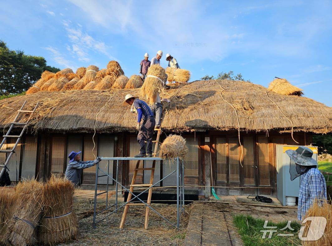 매년 9월 초부터 시작해 12월까지 전남 순천시 낙안읍성의 초가이엉이기 작업을 진행한다( 순천시 제공)