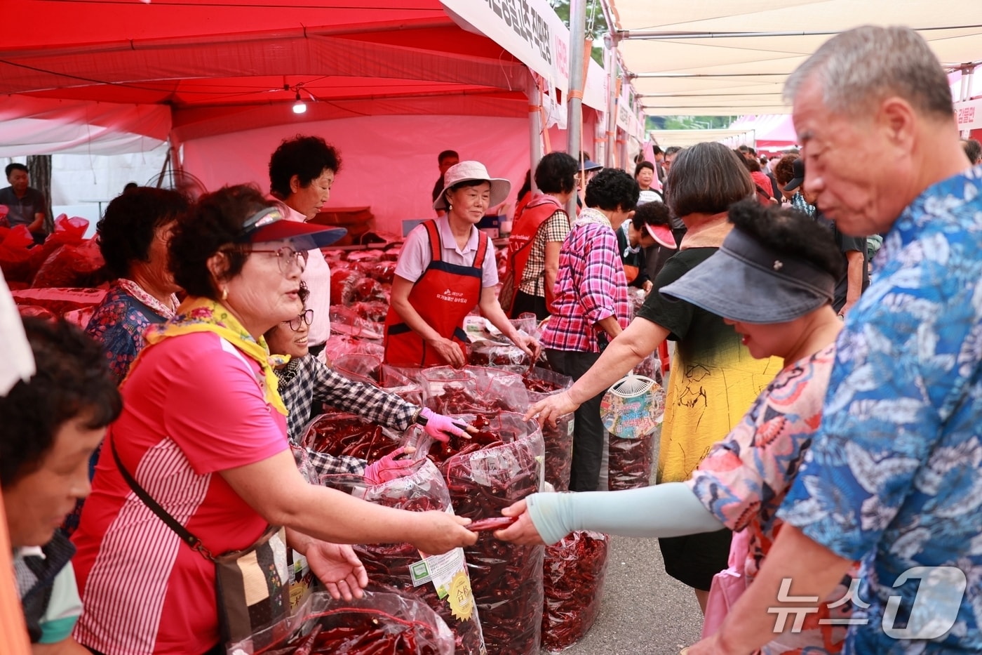 4일 개막한 충북 괴산고추축제장에서 관람객이 고추 판매장을 둘러 보고 있다.(괴산군 제공, 재판매 및 DB금지)/뉴스1