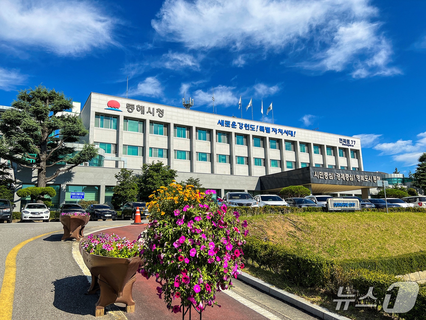 동해시청.(뉴스1 DB)