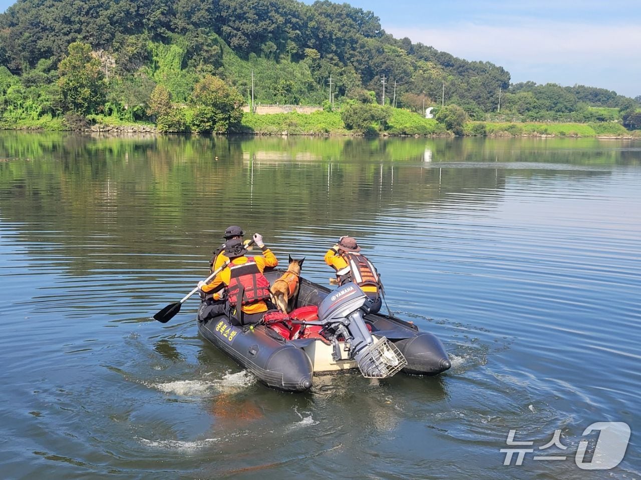 충주소방서 수색 모습.(충주소방서 제공. 재판매 및 DB금지)/뉴스1