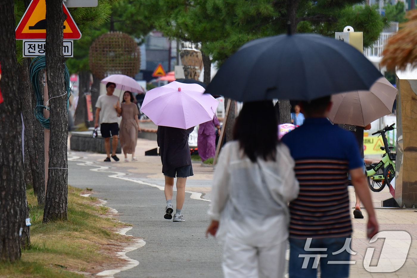 자료사진/뉴스1