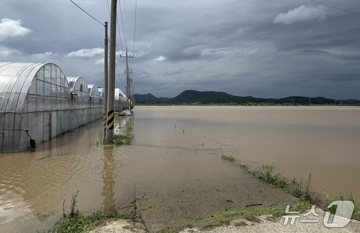 나주 하우스 침수 모습.&#40;전남도 제공. 재판매 및 DB금지&#41;2025.9.8/뉴스1