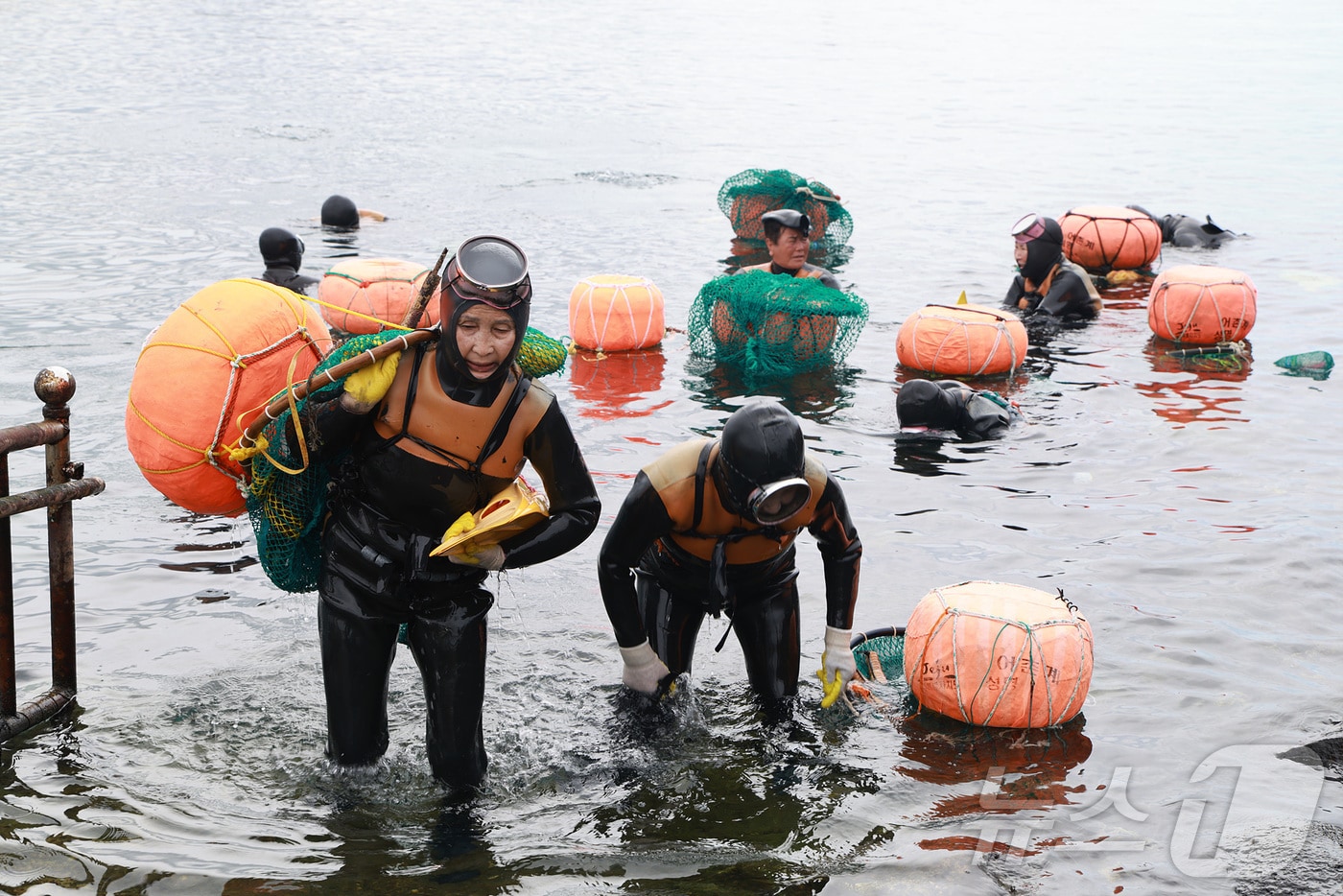 제주해양경찰청이 지난 9월 제주시 조천읍 조천항 인근 해상에서 진행한 '깨끗한 제주바다 만들기 수중 정화활동'. (사진은 기사 내용과 무관함) / (제주해경청 제공. 재판매 DB 금지) /뉴스1 ⓒ News1 홍수영 기자
