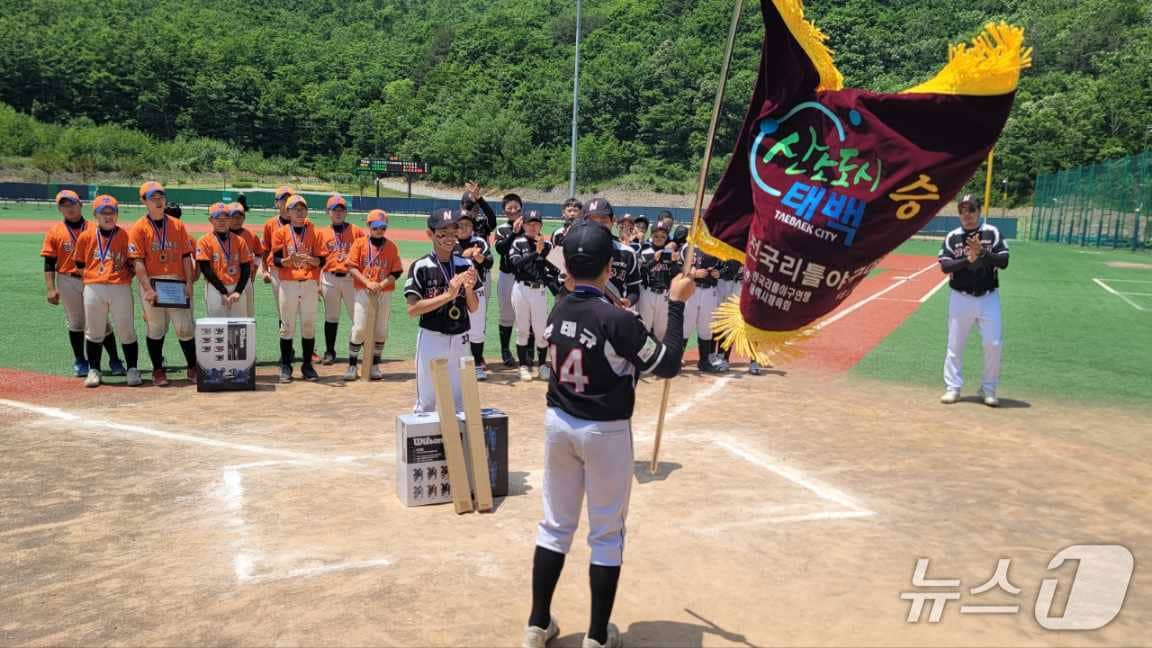 태백산배 전국 리틀야구대회의 예년 우승팀 자료 시진. &#40;태백시 제공. 재판매 및 DB금지&#41; 2025.9.9/뉴스1