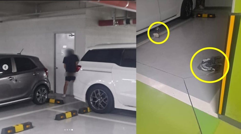 (보배드림 갈무리)