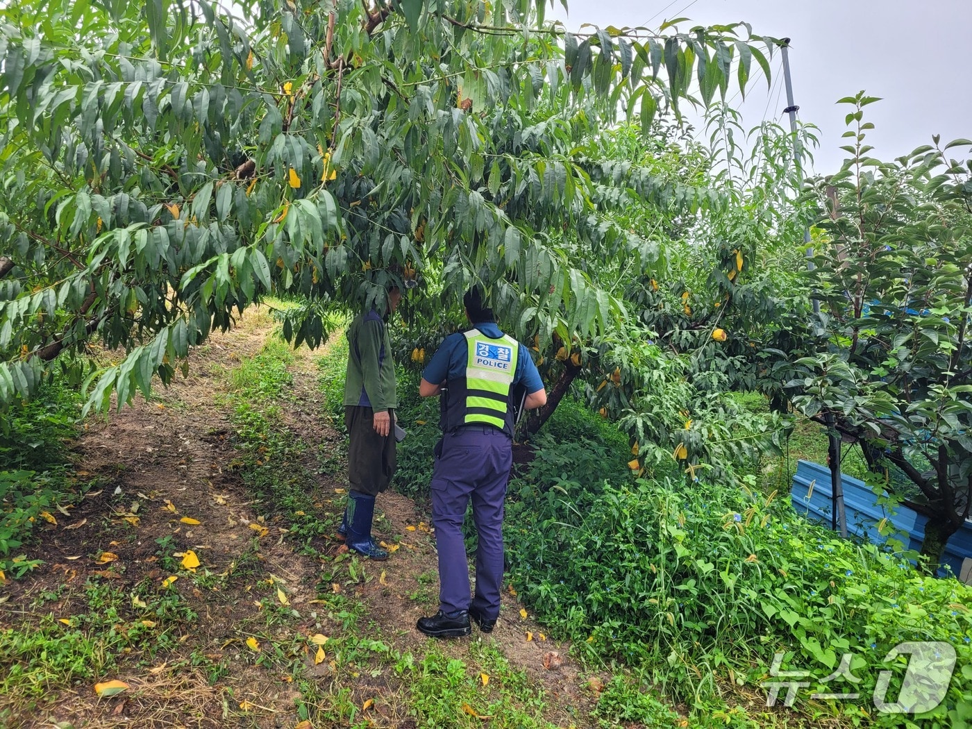 전북경찰청이 가을 수확철을 맞아 농산물 절도 예방활동을 전개한다.(전북경찰청 제공. 재판매 및 DB금지)