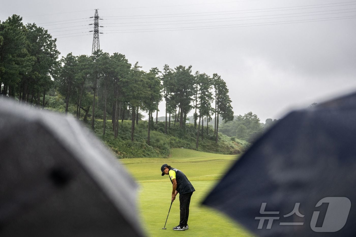2025년 일본 요코하마에서 열렸던 PGA투어 베이커런트 클래식 경기. ⓒ AFP=뉴스1