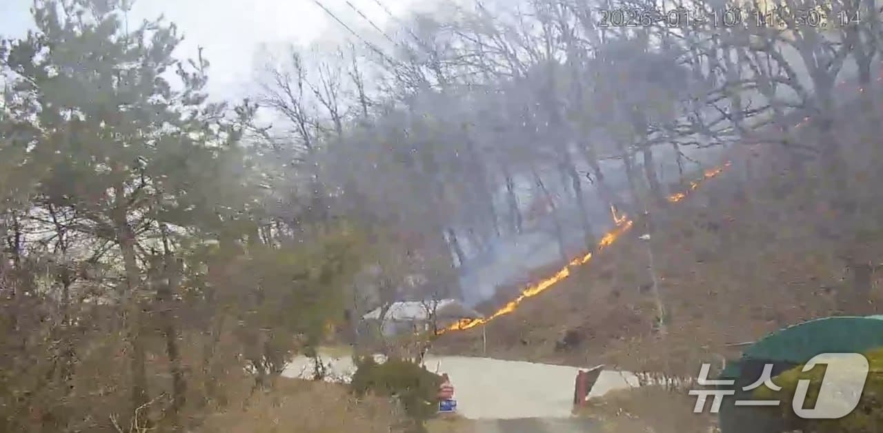 (경기소방재난본부 제공. 재판매 및 DB금지)