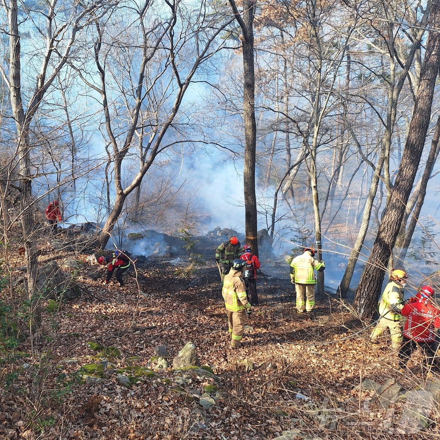 전남 여수 중흥동 산불.(여수소방 제공. 재배포 및 DB 금지)