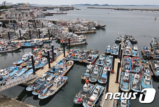  충남 보령 대천항에 선박들이 정박한 모습. /뉴스1 ⓒ News1 김기태 기자