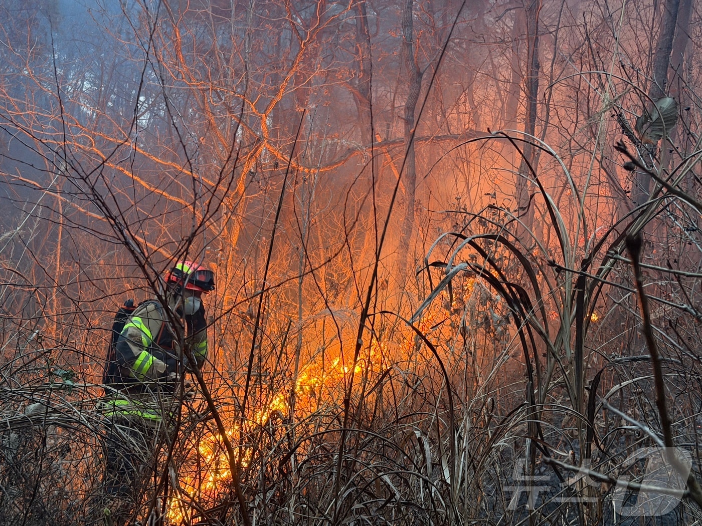 10일 오후 3시 14분쯤 경북 의성군 의성읍 비봉리의 한 야산에서 대형 산불이 발생해 소방 당국이 대응2단계를 발령하고 진화에 나서고 있다. (경북소방안전본부 제공. 재판매 및 DB 금지) 2026.1.10/뉴스1 ⓒ News1 남승렬 기자