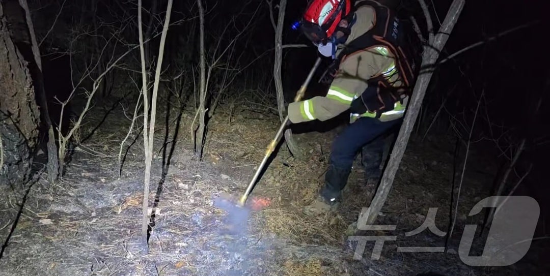 산불 자료사진. /뉴스1