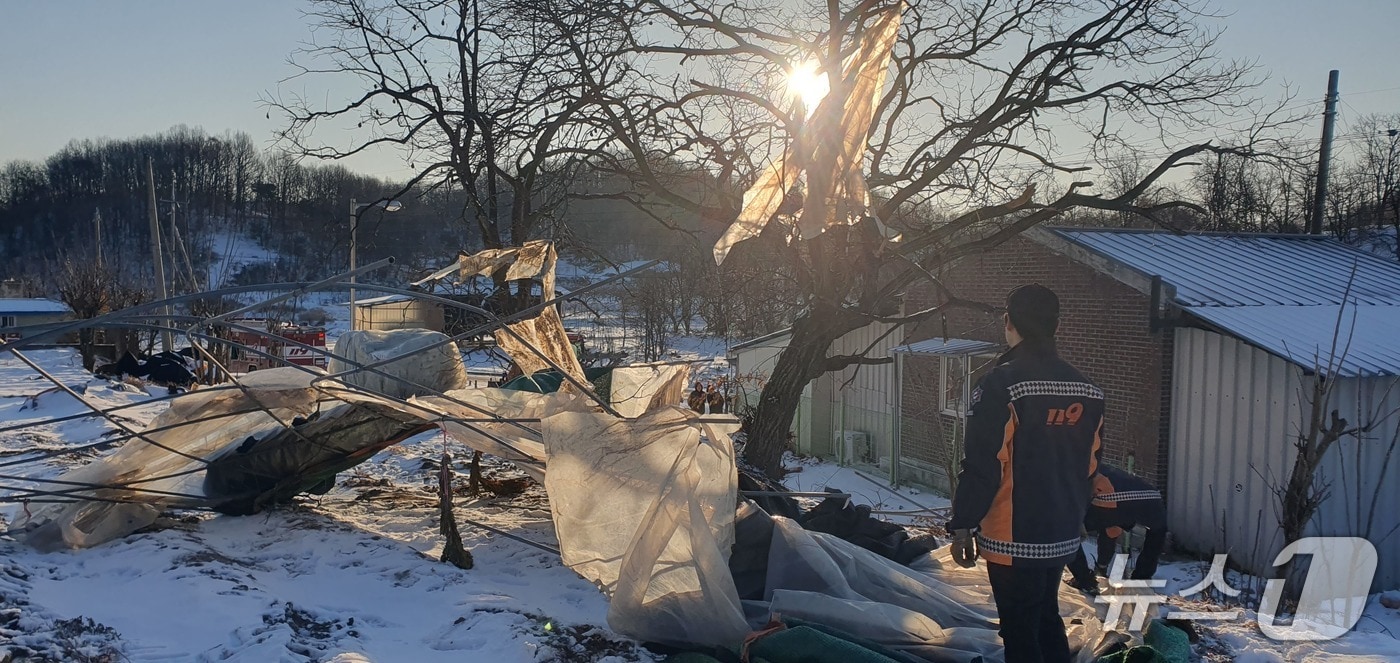 지난 10일 강풍으로 비닐하우스가 파손된 현장. (경북 소방 제공. 재판매 및 DB금지)/뉴스1