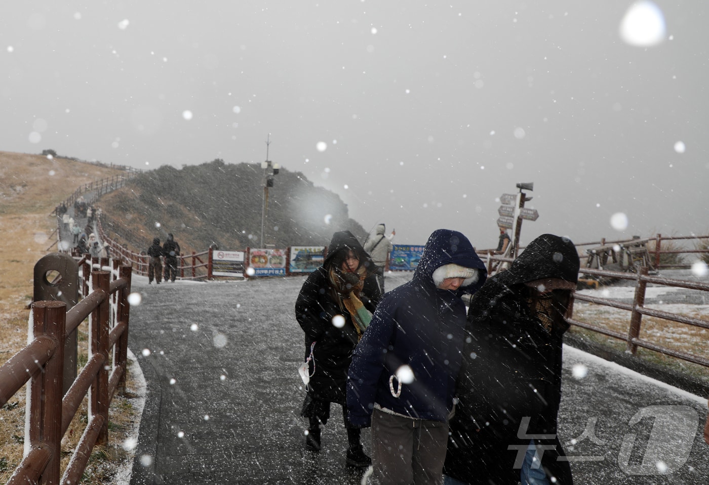 제주에 대설·강풍·풍랑특보가 내려진 지난달 11일 오후 서귀포시 성산일출봉에 눈보라가 치고 있다. 2026.1.11 / ⓒ 뉴스1 오미란 기자