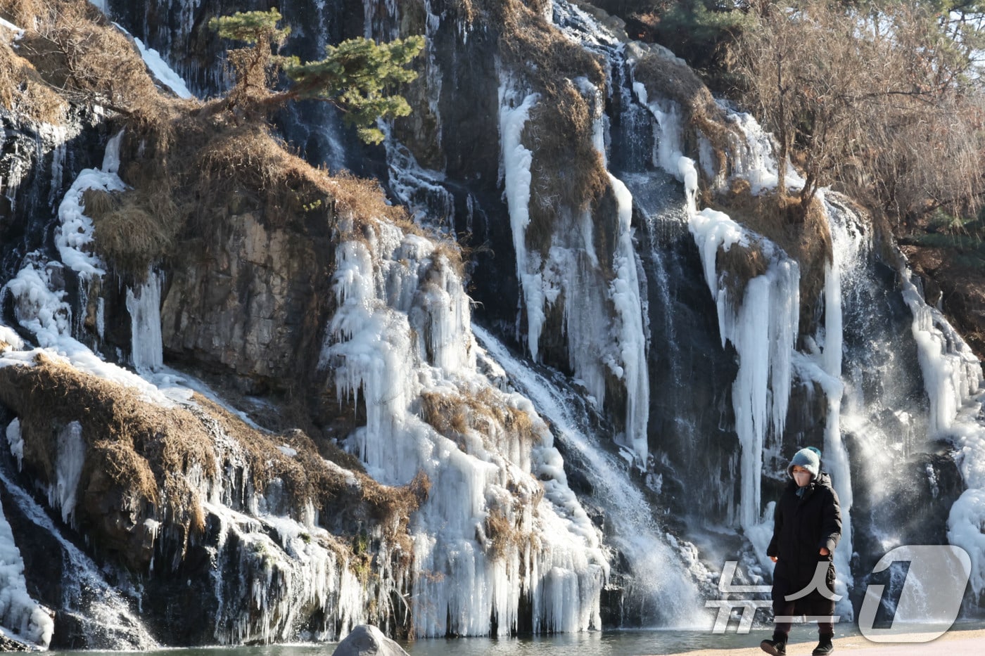 전국 곳곳에 한파특보가 발효 중인 11일 오후 서울 서대문구 홍제천 인공폭포가 얼어붙어 있다. 2026.1.11/뉴스1 ⓒ News1 이광호 기자