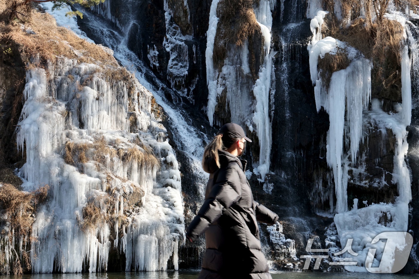 <자료사진> 2026.1.11/뉴스1 ⓒ News1 이광호 기자