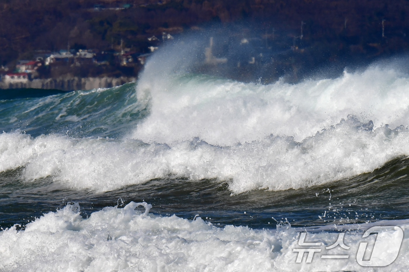 11일 깅풍주의보가 발령된 경북 포항시 북구 흥해읍 용한리 앞 바다에서 높은 파도가 밀려들고 있다. 2026.1.11/뉴스1 ⓒ News1 최창호 기자
