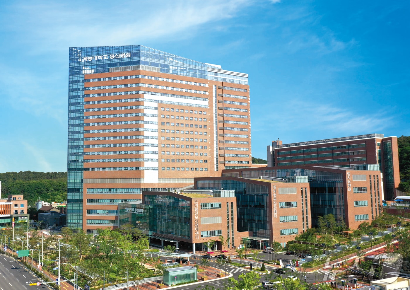 계명대 동산병원이 비수도권 최초로 '혈관내 쇄석술'(Intravascular Lithotripsy·IVL) 장비를 도입했다. 사진은 계명대 동산병원 전경. (계명대 동산병원 제공. 재판매 및 DB 금지)/뉴스1