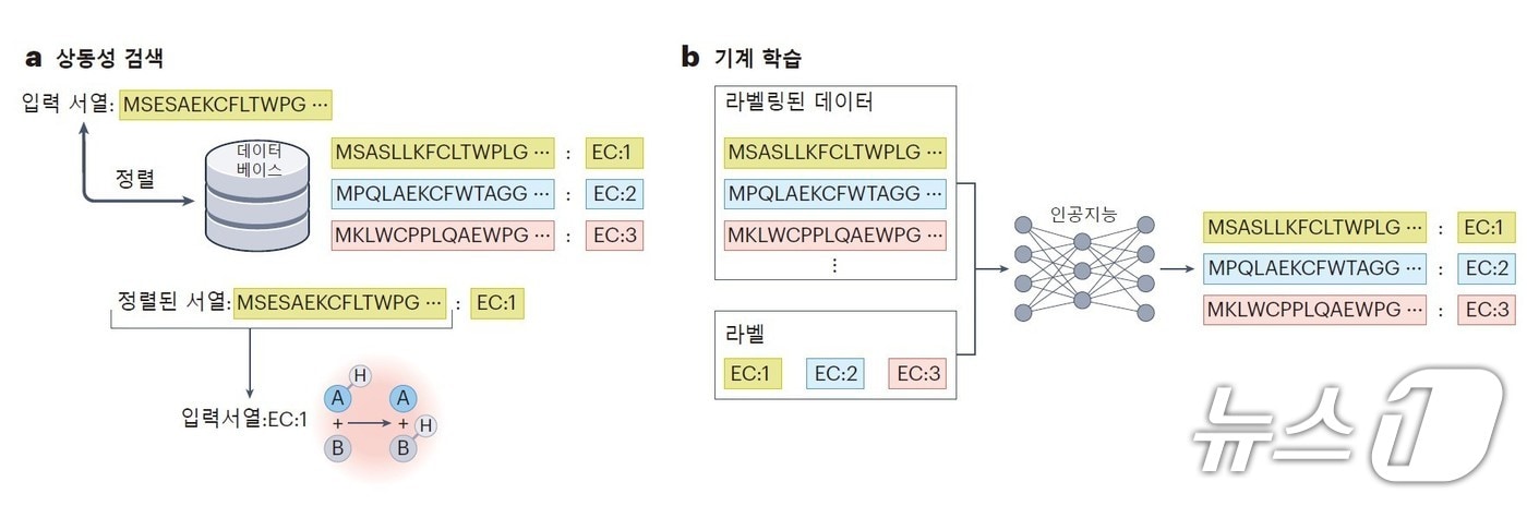 효소 기능예측을 위한 전산생물학 접근법 모식도(KAIST 제공) /뉴스1