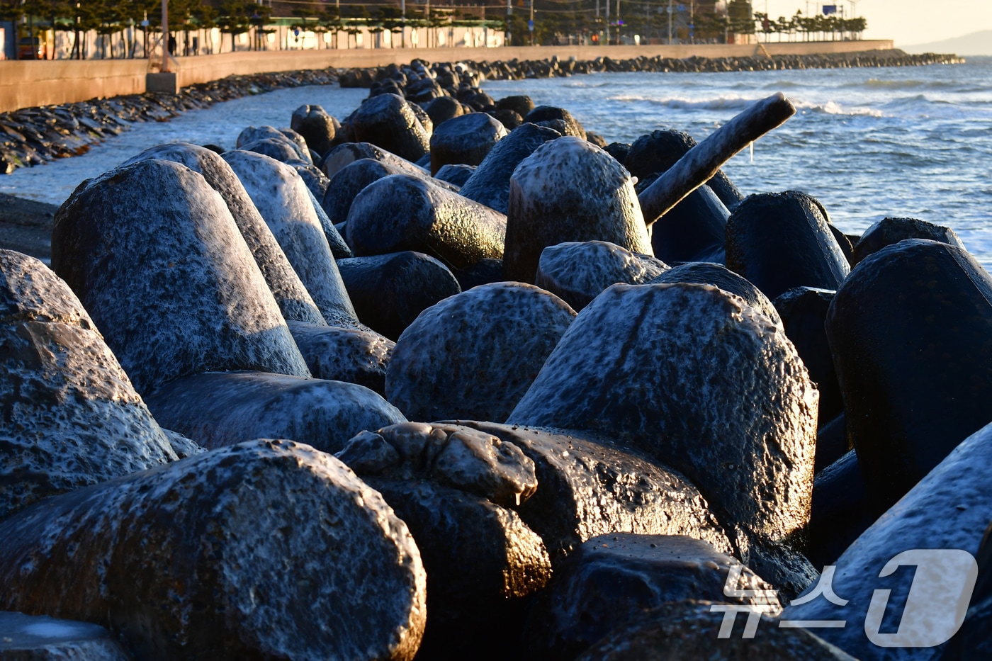 12일 경북 포항시 북구 환여동 앞바다에 설치된 테트라포트 위에 바닷물이 얼어 붙어있다. 2026.1.12/뉴스1 ⓒ News1 최창호 기자
