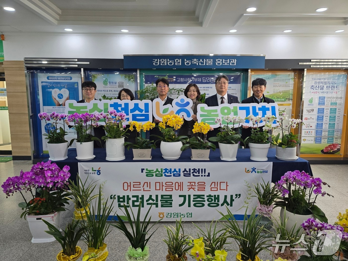 김병용 강원농협 본부장과 이명호 농협은행 강원본부장은 12일 춘천남부노인복지관을 찾아 취임축하 화분 300여 개를 전달했다.(농협 강원본부 제공. 재판매 및 DB금지)/뉴스1