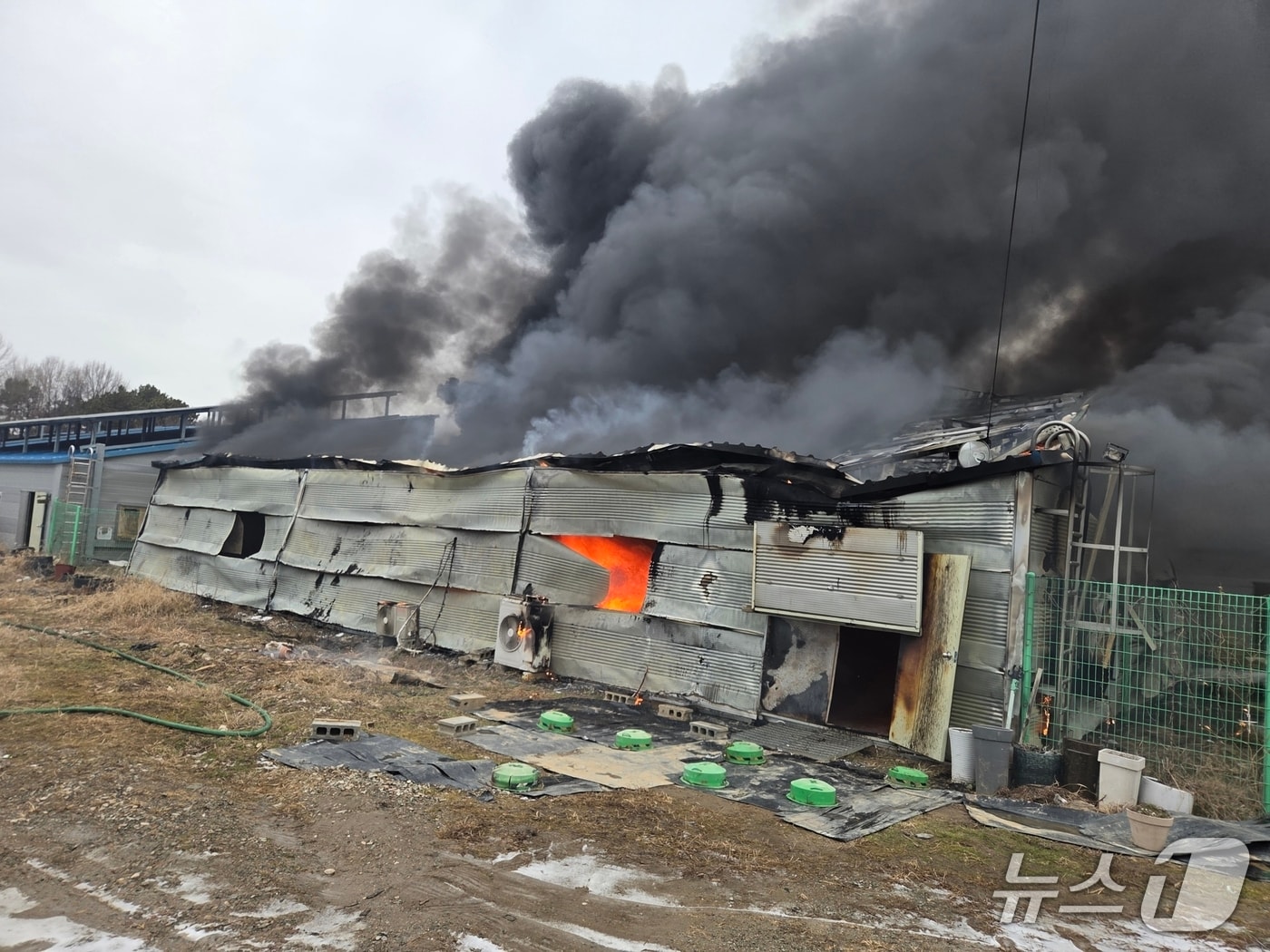 논산 연무읍 버섯농장 화재 현장. (논산소방서 제공, 재판매 및 DB금지) / 뉴스1